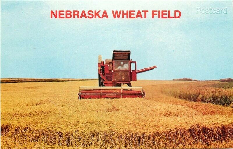 Zoo Nebraska - Wheat Field Postcard