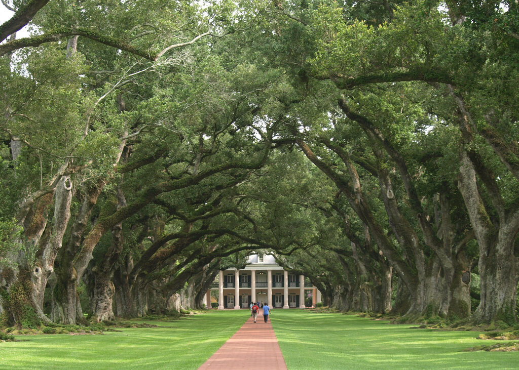 Oak Alley Plantation