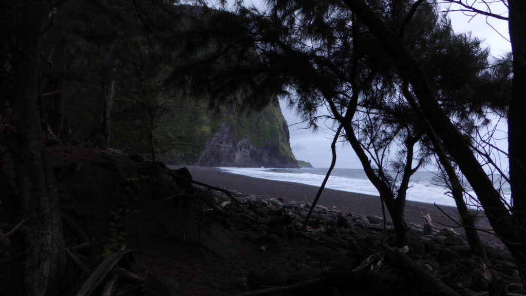 Waipi'o Valley beach view