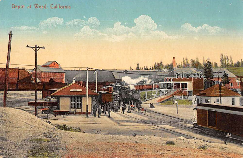 Weed California Postcard