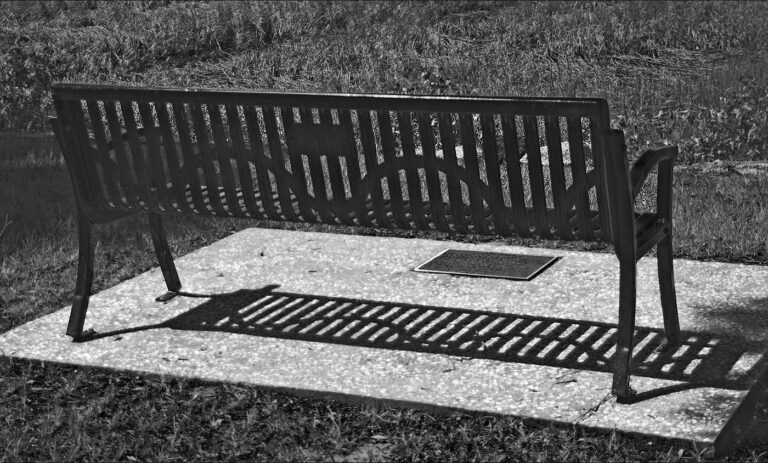 Toni Morrison's Bench by the Road Sullivan's Island